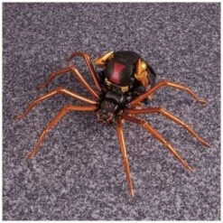MP-46 Blackarachnia | Transformers Masterpiece Beast Wars Action Figures -Transformers Sales Store GUEST 65ce6d21 bc19 4073 913e e5dafb3cddf7